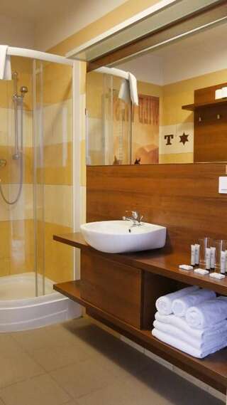 Отель Hotel Texas - Żory Жоры Двухместный номер с 1 кроватью или 2 отдельными кроватями-4
